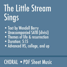 Load image into Gallery viewer, The Little Stream Sings