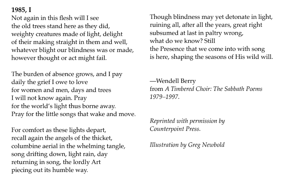 Not Again in This Flesh