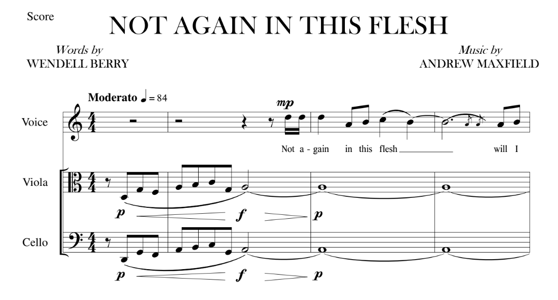 Not Again in This Flesh